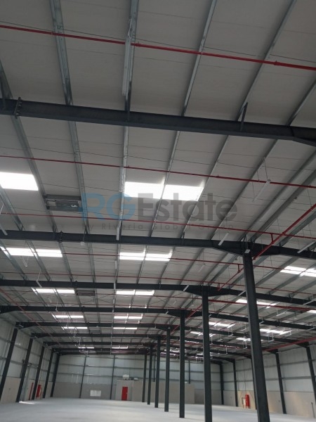 مستودع بمساحة 35000 قدم مربع | طاقة 550 كيلو وات | ارتفاع 8 متر  | RGEstate UAE