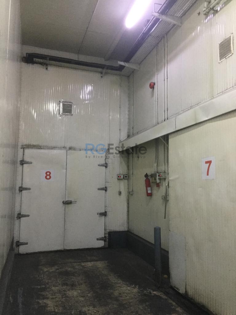 High-Capacity 13,000 Sqft Cold Storage Warehouse with Office & Loading Bay for Sale in Al Qusais  | RGEstate UAE