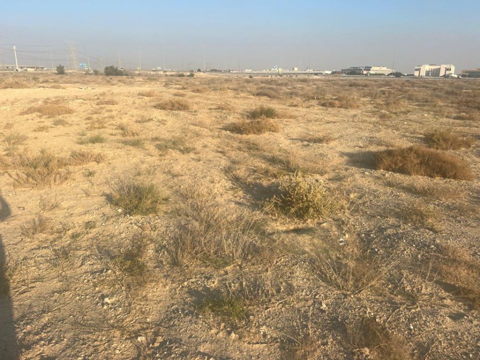 1,100,000 sqft Plot for School use For Sale in Al quoz   | RGEstate UAE