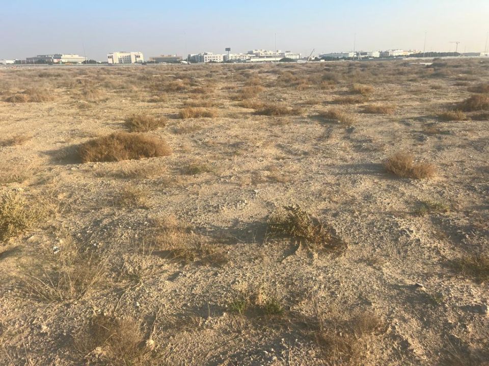 1,100,000 sqft Plot for School use For Sale in Al quoz   | RGEstate UAE