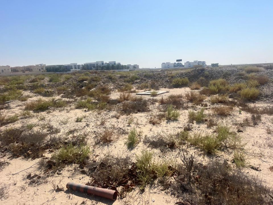 55,000 sqft Residential Land For Sale in DIC  | RGEstate UAE