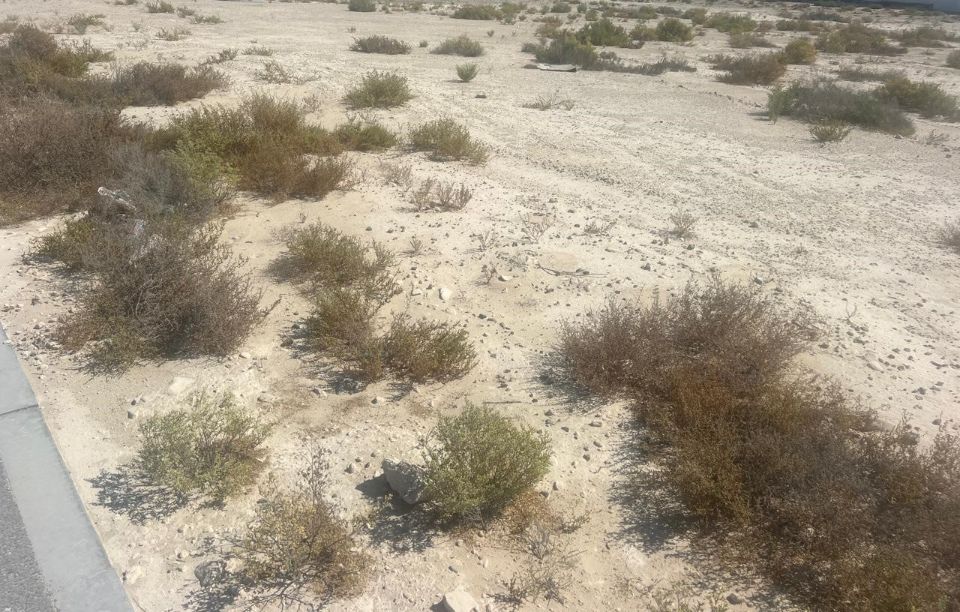 56,700 sqft Land Villa / Townhouse Plot For Sale in Jebel Ali Hills  | RGEstate UAE