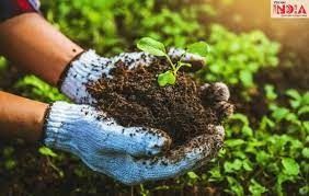 Running Farms 2,000,000 sqft for Long Term Lease in Al Aweer  | RGEstate UAE