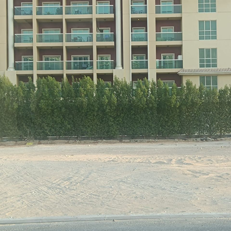 21,618 Sq.Ft Residential Building Plot For Sale in International City, Phase 2  | RGEstate UAE