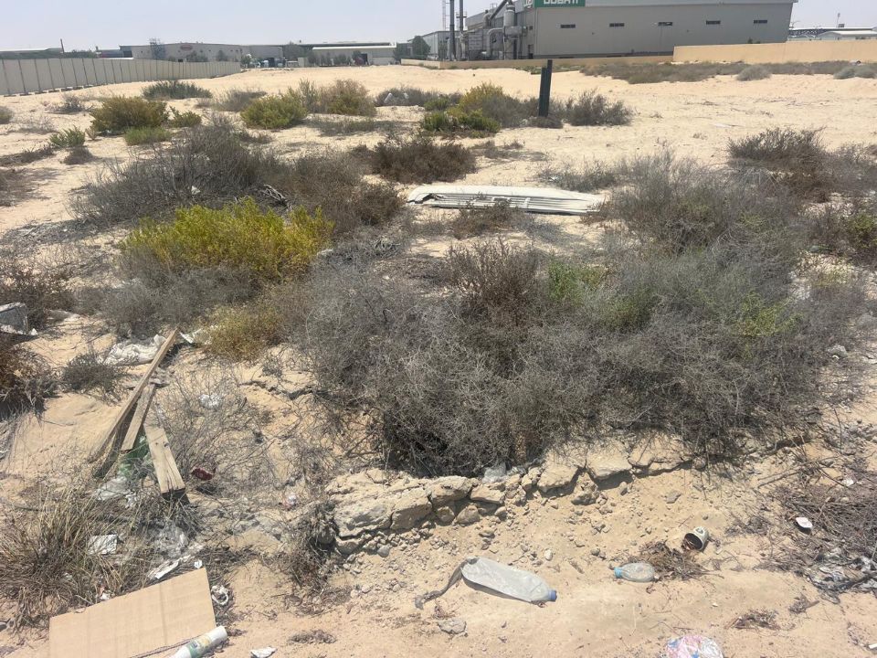 55,000 sqft Under Construction Warehouse for sale in DIC  | RGEstate UAE