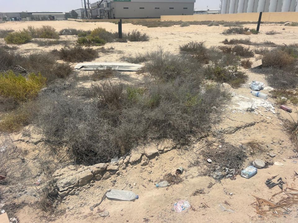 55,000 sqft Under Construction Warehouse for sale in DIC  | RGEstate UAE