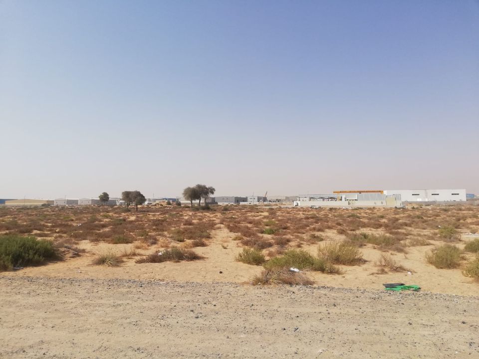 20,000 Sqft G+4 Labour Camp Plot for Sale in Al Ttay, Al Khawaneej (Freehold)  | RGEstate UAE