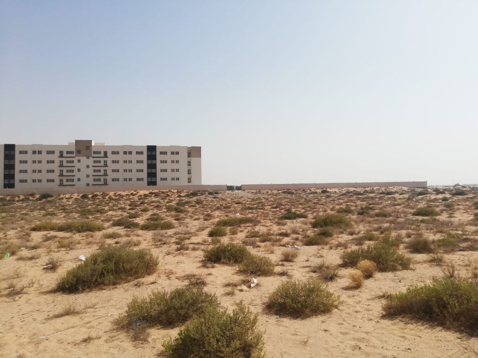 20,000 Sqft G+4 Labour Camp Plot for Sale in Al Ttay, Al Khawaneej (Freehold)  | RGEstate UAE