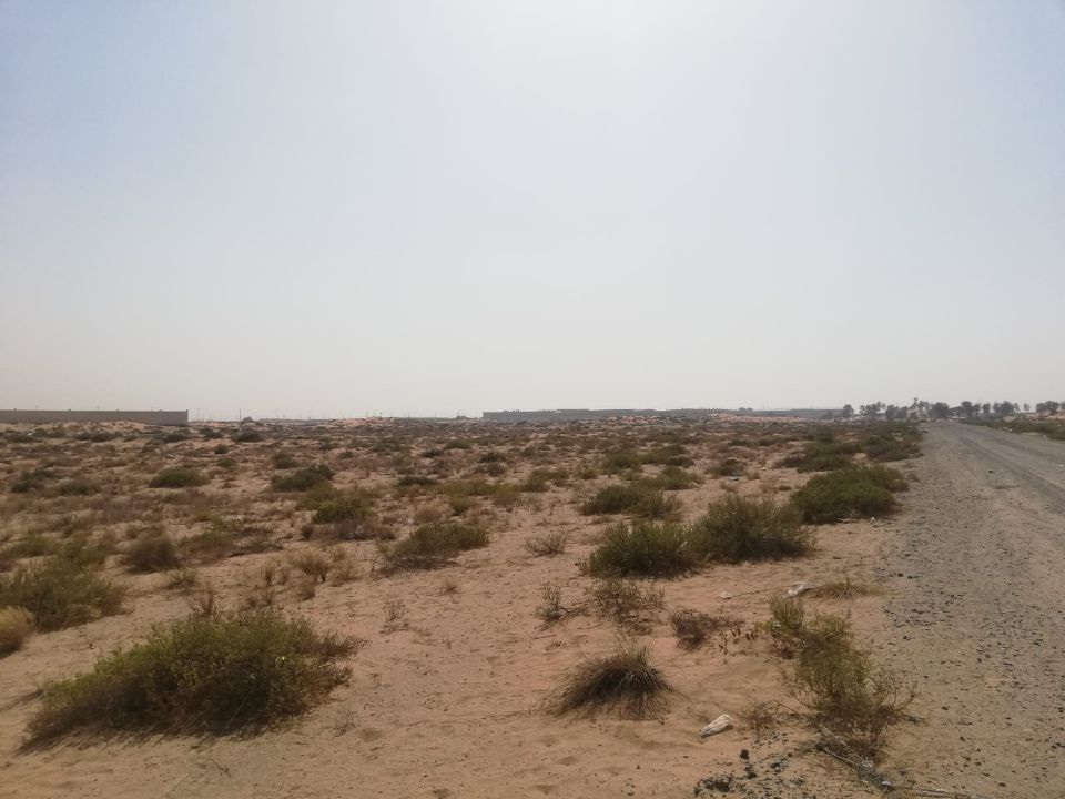 20,000 Sqft G+4 Labour Camp Plot for Sale in Al Ttay, Al Khawaneej (Freehold)  | RGEstate UAE