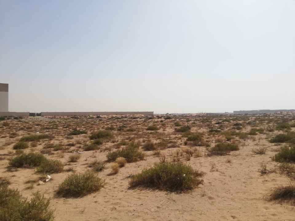 20,000 Sqft G+4 Labour Camp Plot for Sale in Al Ttay, Al Khawaneej (Freehold)  | RGEstate UAE