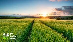 763,400 Sqft Farm Plot for Rent in Al Shaagi, Ras Al Khaimah  | RGEstate UAE