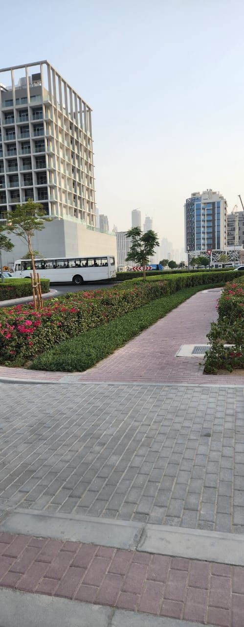 Where Dreams Take Root - Plot for Sale in Jumeirah Garden City  | RGEstate UAE