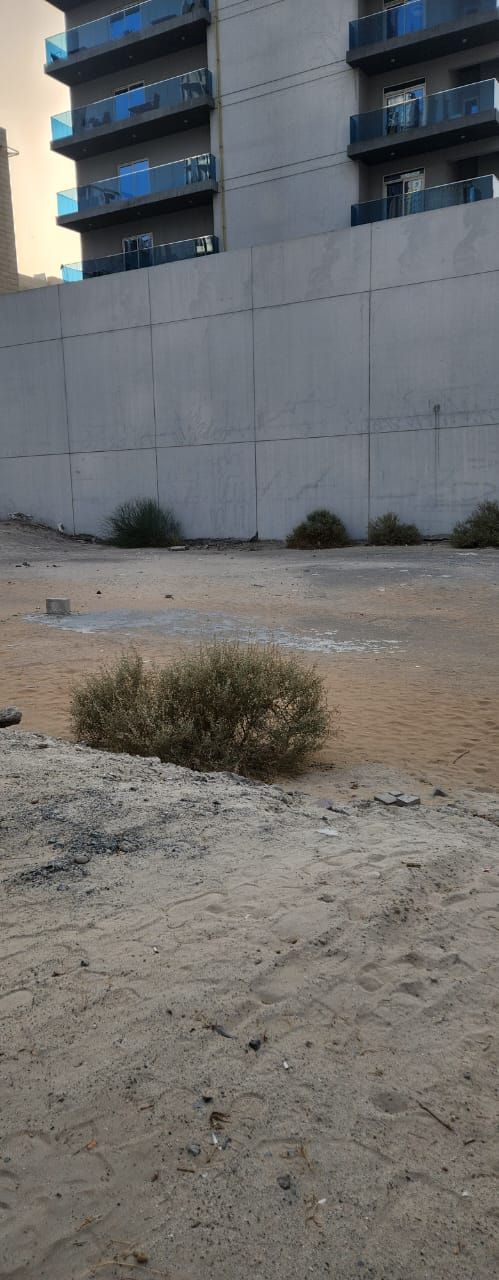 Where Dreams Take Root - Plot for Sale in Jumeirah Garden City  | RGEstate UAE