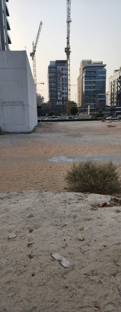 Where Dreams Take Root - Plot for Sale in Jumeirah Garden City  | RGEstate UAE