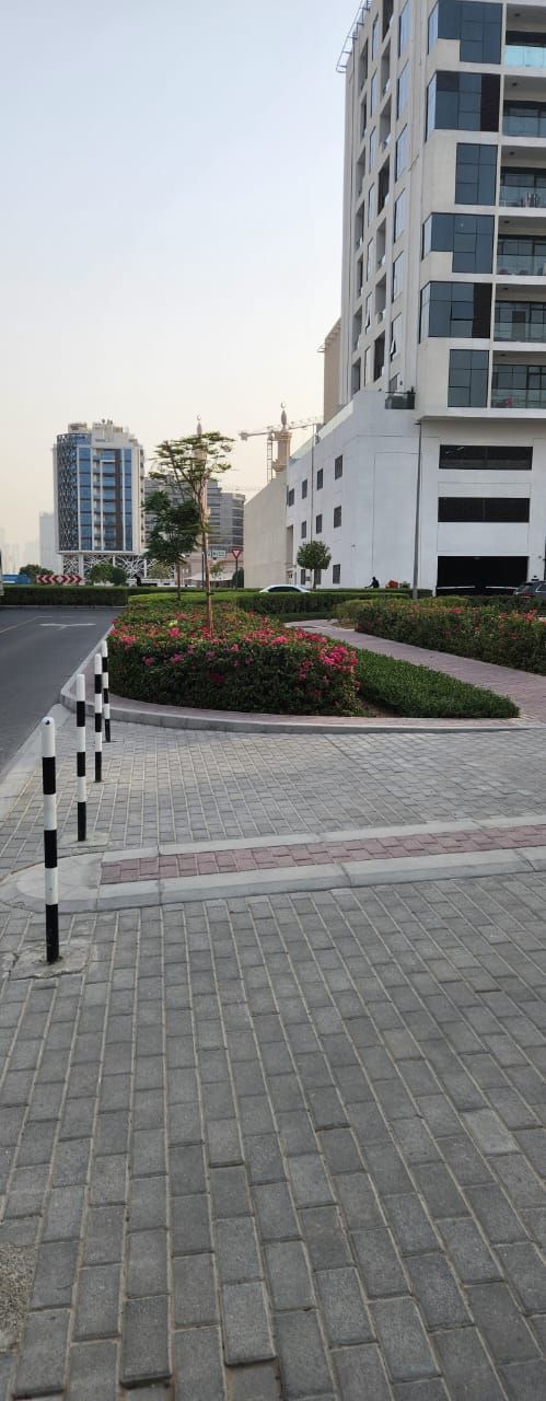 Where Dreams Take Root - Plot for Sale in Jumeirah Garden City  | RGEstate UAE