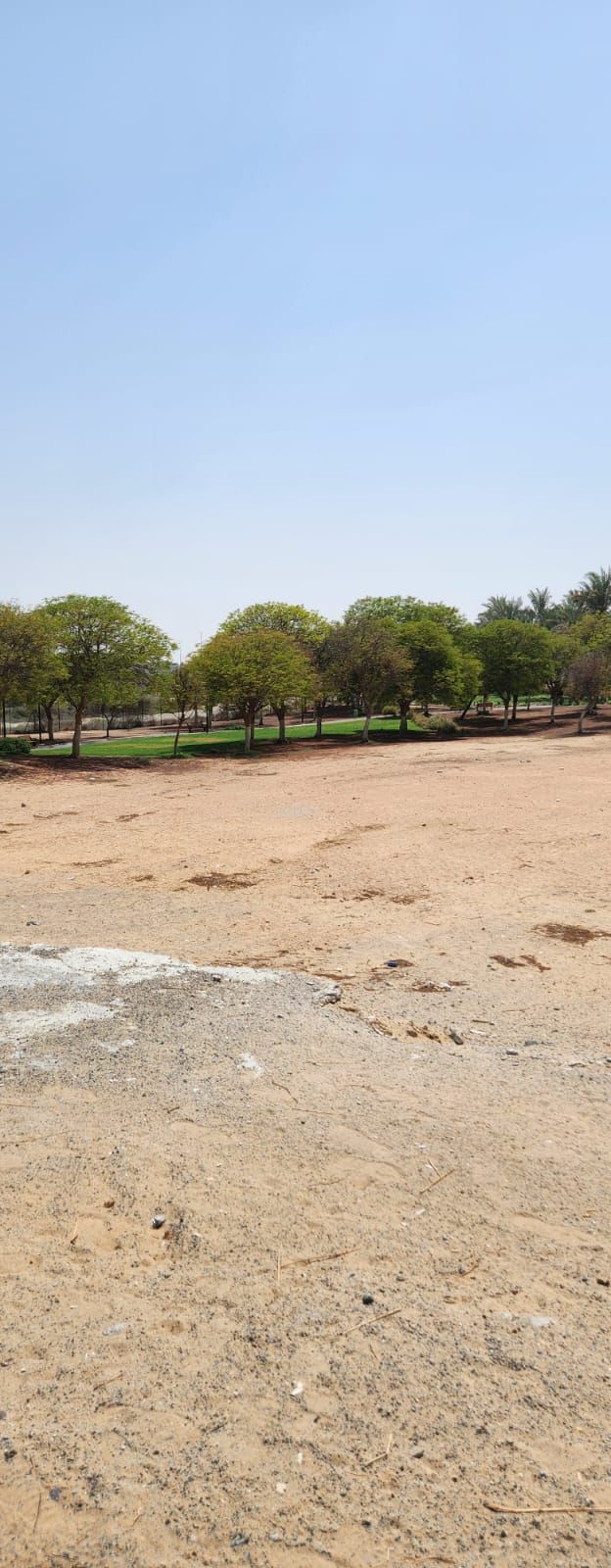 Smarter Investment, Smarter Location - Residential Plot in DSO  | RGEstate UAE