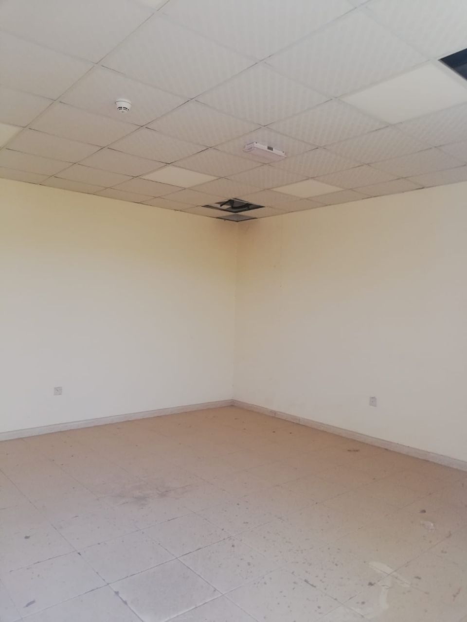 32,000 Sqft Shop with Shed, Office & Labour Room For Sale in Sajja, Sharjah  | RGEstate UAE