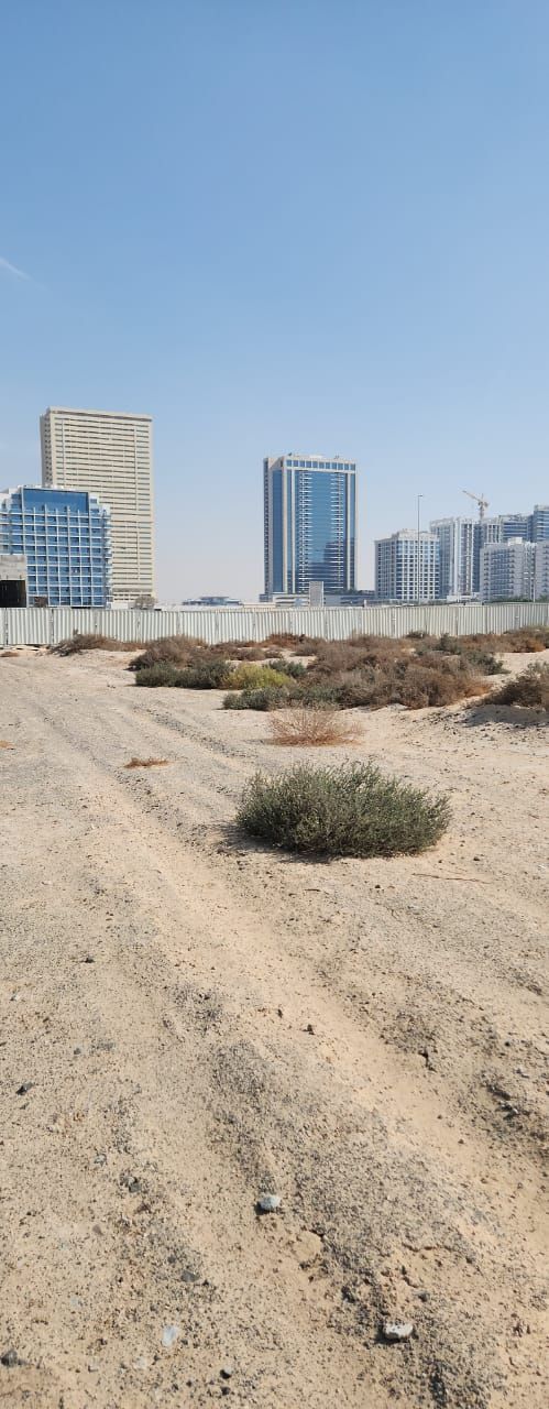 Your Next Landmark : Mixed - Use Plot in Dubai Residences  | RGEstate UAE