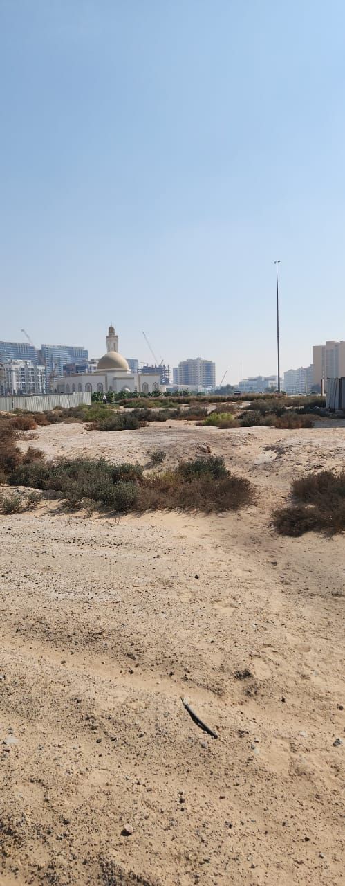 Your Next Landmark : Mixed - Use Plot in Dubai Residences  | RGEstate UAE