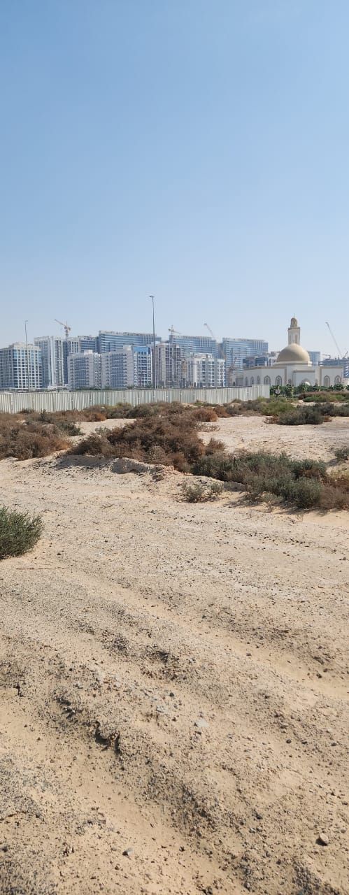 Your Next Landmark : Mixed - Use Plot in Dubai Residences  | RGEstate UAE