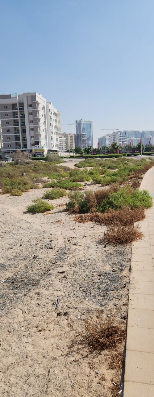 Residential Plot for Sale in Dubai Residence Complex  | RGEstate UAE