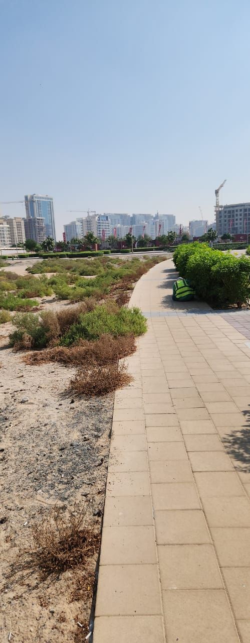 Residential Plot for Sale in Dubai Residence Complex  | RGEstate UAE