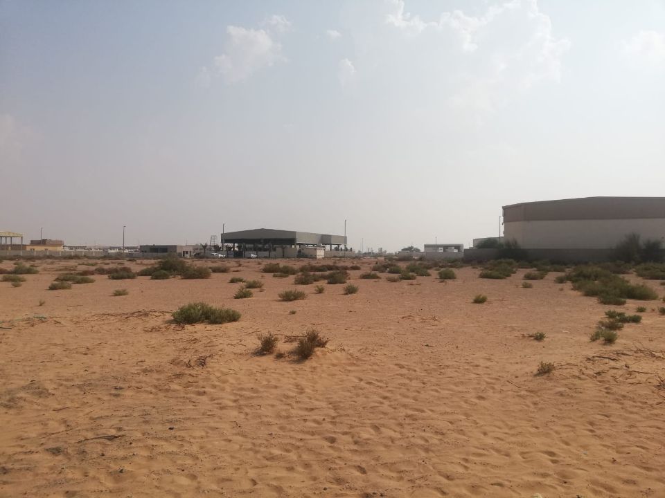 55,000 Sqft Commercial or Industrial Plot for Rent in Sajja, Sharjah  | RGEstate UAE